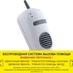 Двухканальная система
